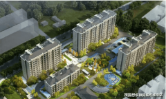 脚分歧家庭的需求